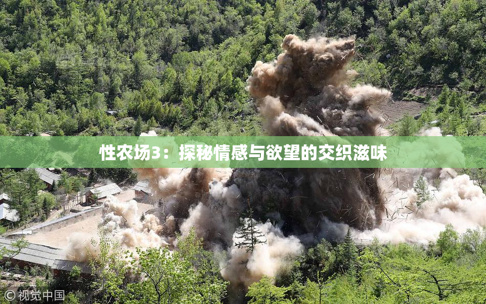 性农场3：探秘情感与欲望的交织滋味