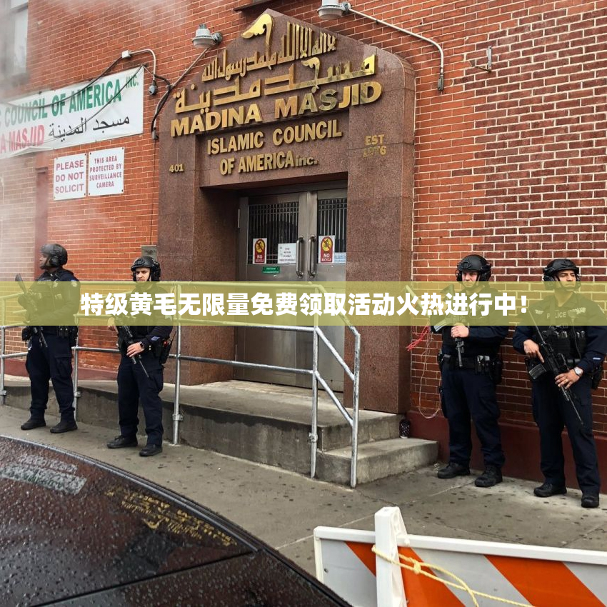 特级黄毛无限量免费领取活动火热进行中！