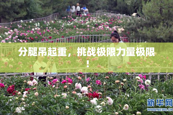 分腿吊起重，挑战极限力量极限！