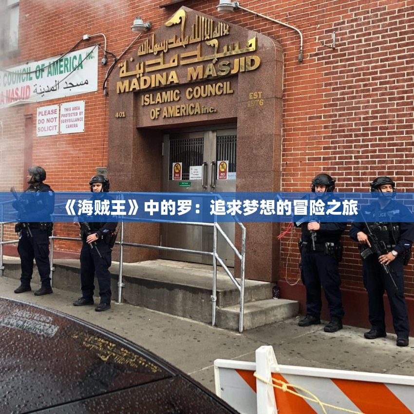 《海贼王》中的罗：追求梦想的冒险之旅