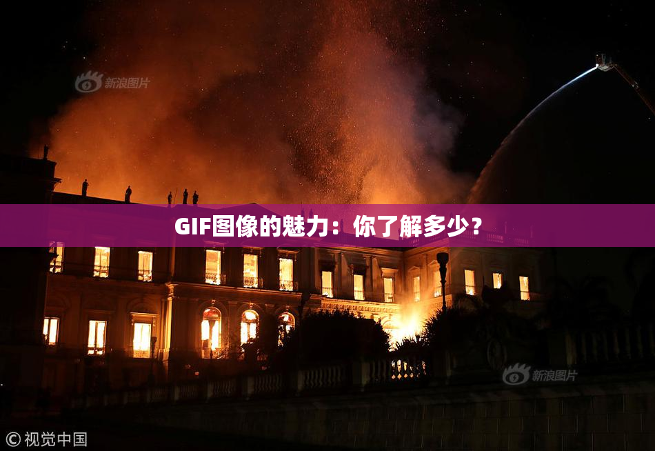 GIF图像的魅力：你了解多少？