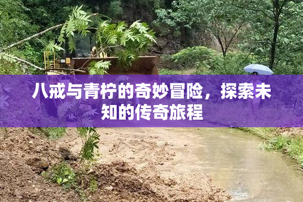 八戒与青柠的奇妙冒险，探索未知的传奇旅程