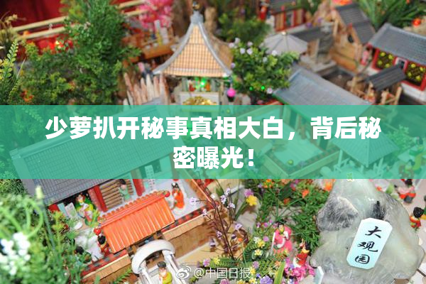 少萝扒开秘事真相大白，背后秘密曝光！