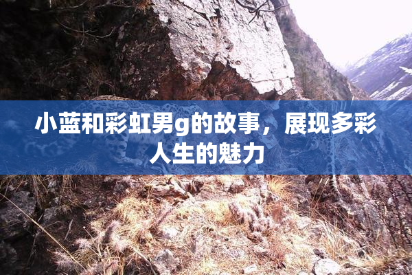小蓝和彩虹男g的故事，展现多彩人生的魅力