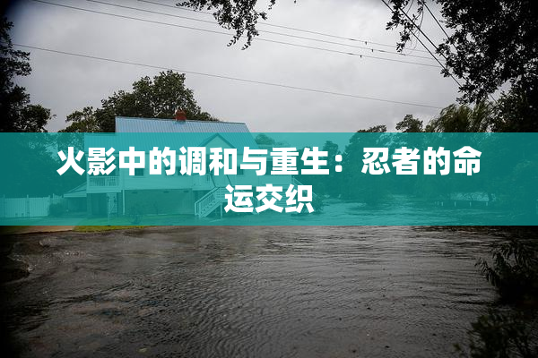 火影中的调和与重生：忍者的命运交织