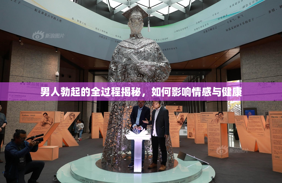 男人勃起的全过程揭秘，如何影响情感与健康