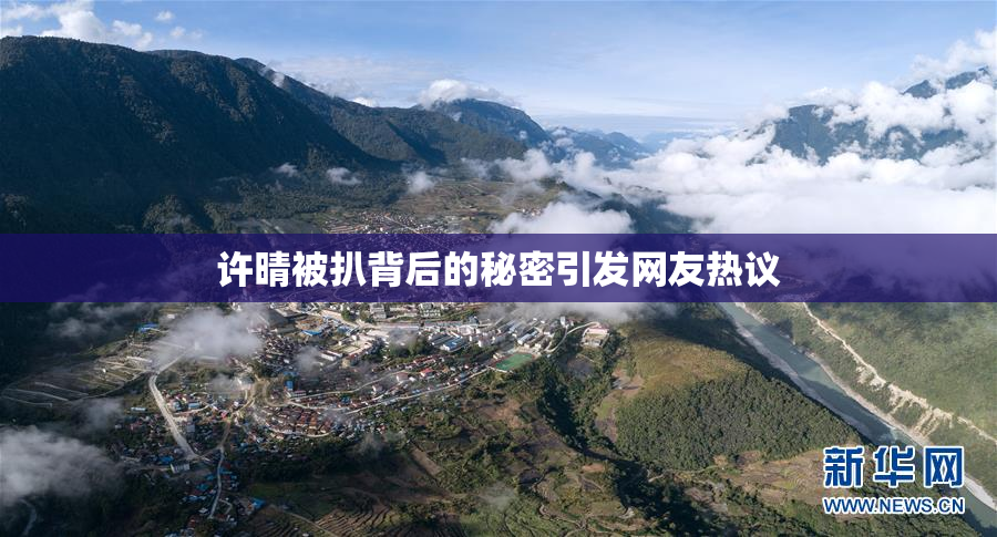 许晴被扒背后的秘密引发网友热议