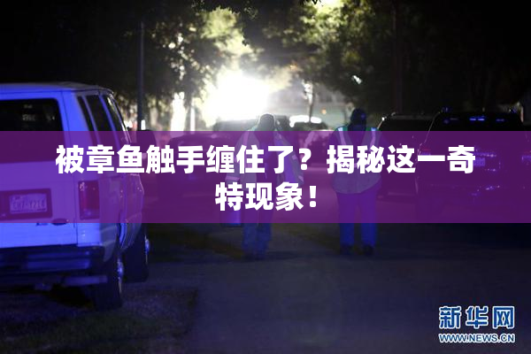 被章鱼触手缠住了？揭秘这一奇特现象！