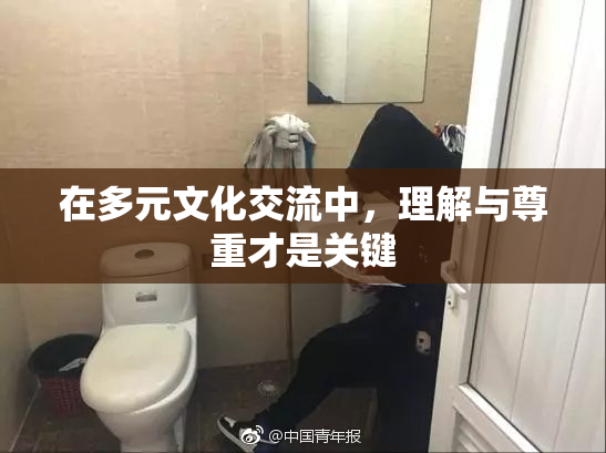在多元文化交流中，理解与尊重才是关键