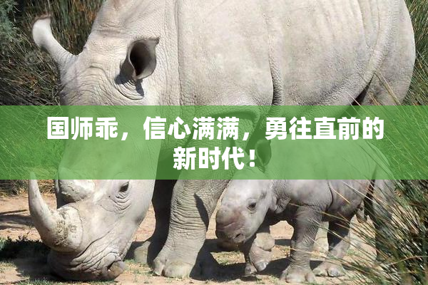 国师乖，信心满满，勇往直前的新时代！