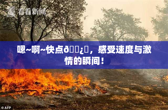 嗯~啊~快点🌿‌，感受速度与激情的瞬间！