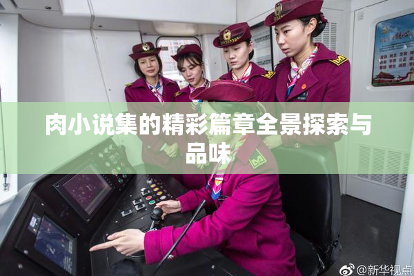肉小说集的精彩篇章全景探索与品味