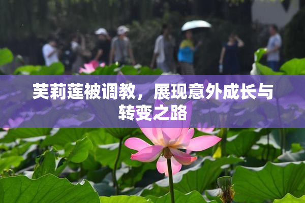 芙莉莲被调教，展现意外成长与转变之路