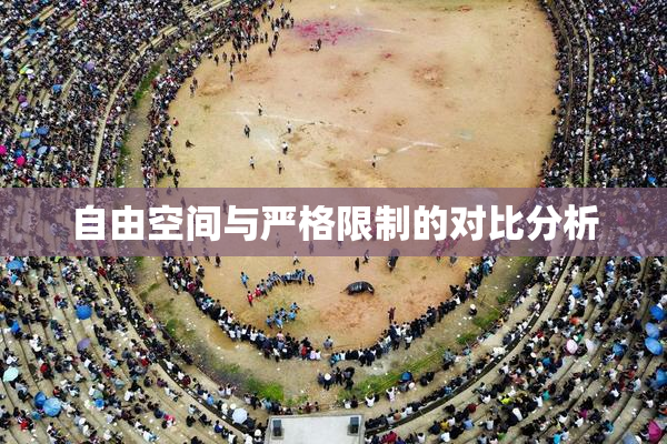 自由空间与严格限制的对比分析