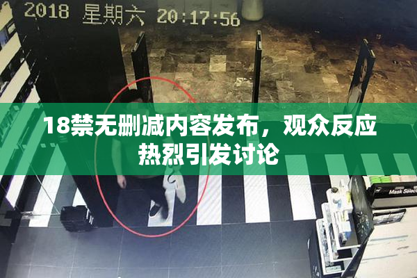 18禁无删减内容发布，观众反应热烈引发讨论
