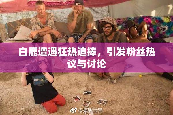 白鹿遭遇狂热追捧，引发粉丝热议与讨论