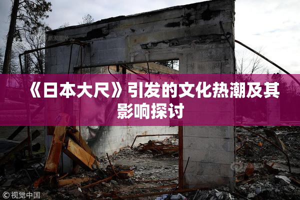 《日本大尺》引发的文化热潮及其影响探讨
