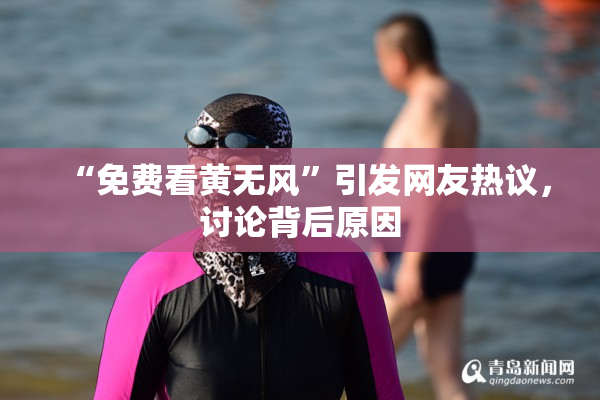 “免费看黄无风”引发网友热议，讨论背后原因