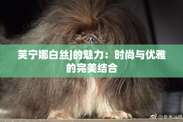 芙宁娜白丝j的魅力：时尚与优雅的完美结合