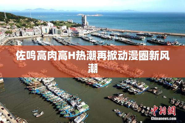 佐鸣高肉高H热潮再掀动漫圈新风潮