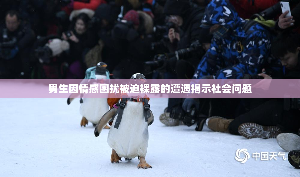 男生因情感困扰被迫裸露的遭遇揭示社会问题