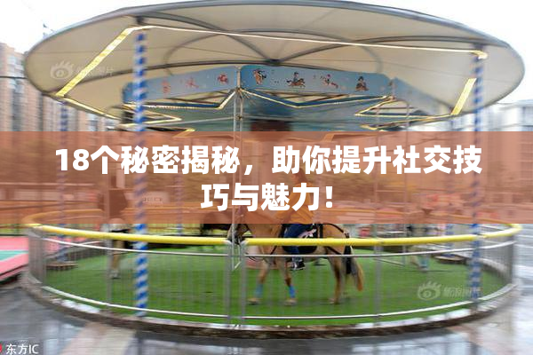 18个秘密揭秘，助你提升社交技巧与魅力！