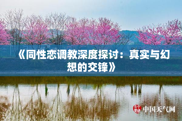 《同性恋调教深度探讨：真实与幻想的交锋》