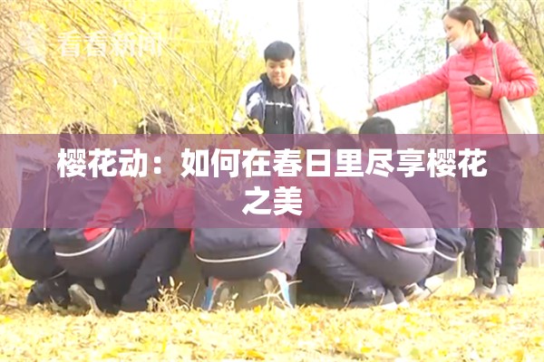 樱花动：如何在春日里尽享樱花之美