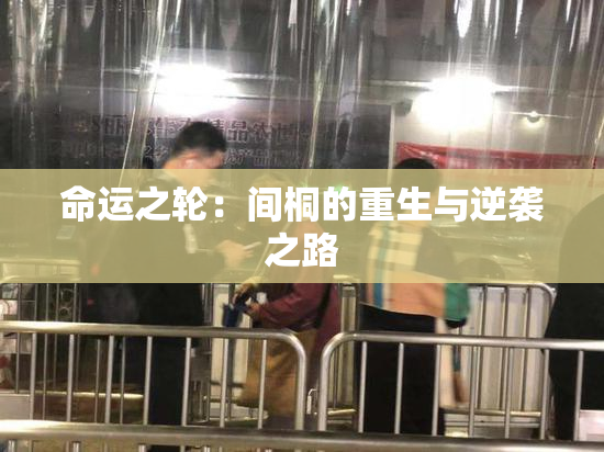 命运之轮：间桐的重生与逆袭之路