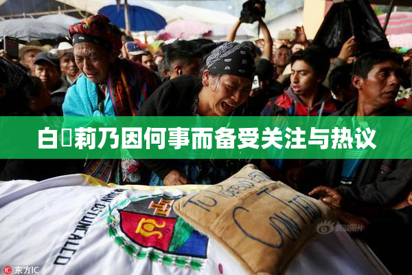 白咲莉乃因何事而备受关注与热议