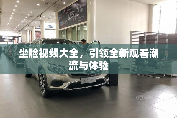 坐脸视频大全，引领全新观看潮流与体验