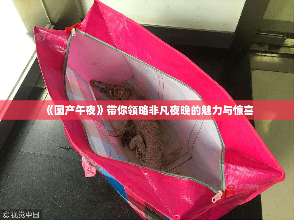 《国产午夜》带你领略非凡夜晚的魅力与惊喜