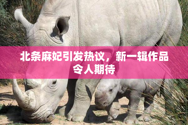 北条麻妃引发热议，新一辑作品令人期待