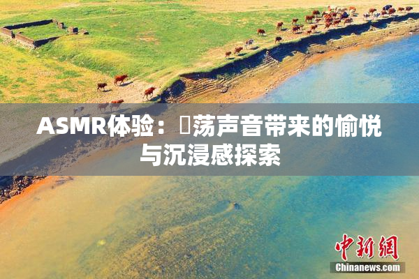 ASMR体验：婬荡声音带来的愉悦与沉浸感探索