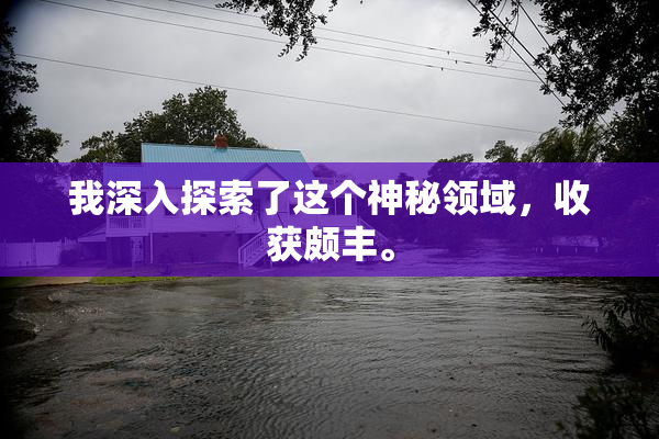 我深入探索了这个神秘领域，收获颇丰。