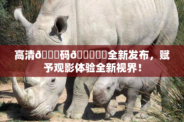 高清🈚码🔞❌‌全新发布，赋予观影体验全新视界！