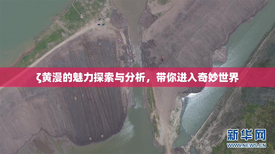 ζ黄漫的魅力探索与分析，带你进入奇妙世界