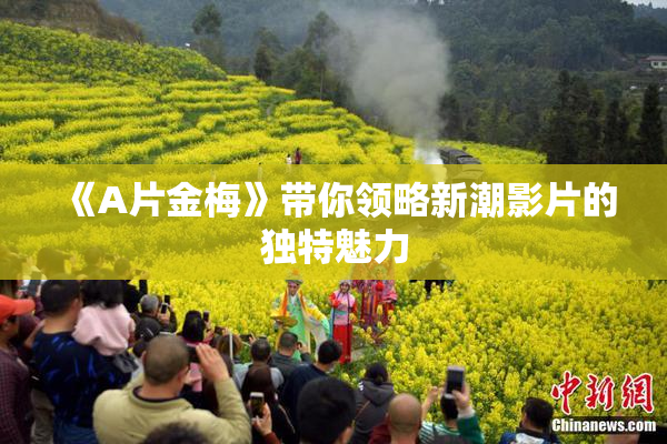 《A片金梅》带你领略新潮影片的独特魅力