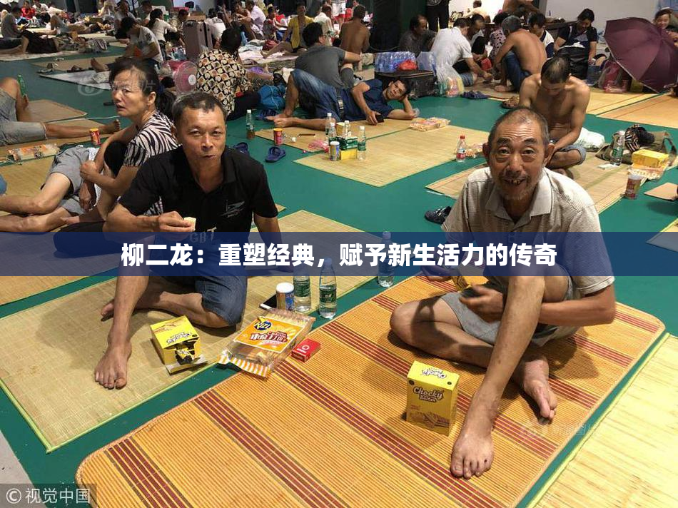 柳二龙：重塑经典，赋予新生活力的传奇