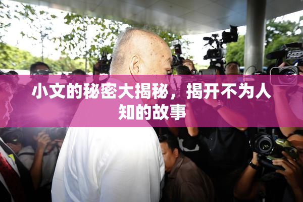 小文的秘密大揭秘，揭开不为人知的故事