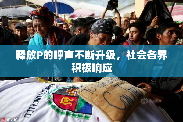 释放P的呼声不断升级，社会各界积极响应