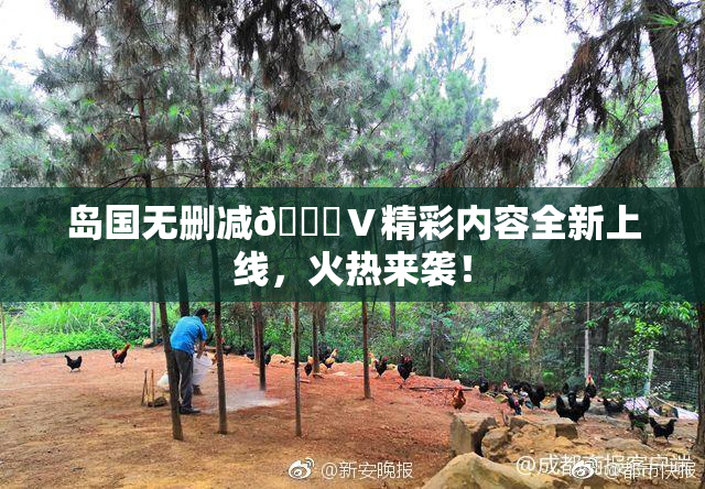 岛国无删减🈚Ⅴ精彩内容全新上线，火热来袭！