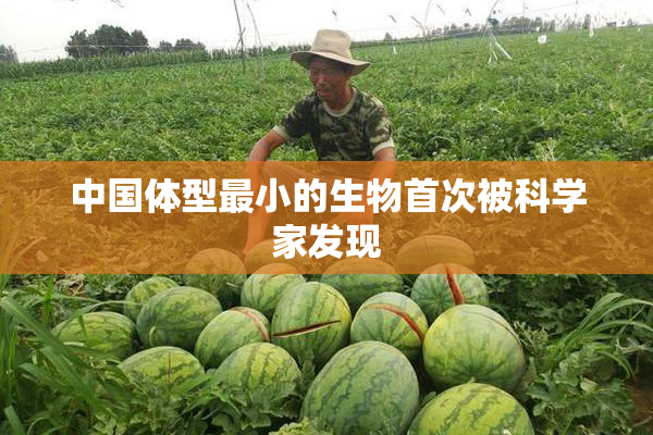 中国体型最小的生物首次被科学家发现