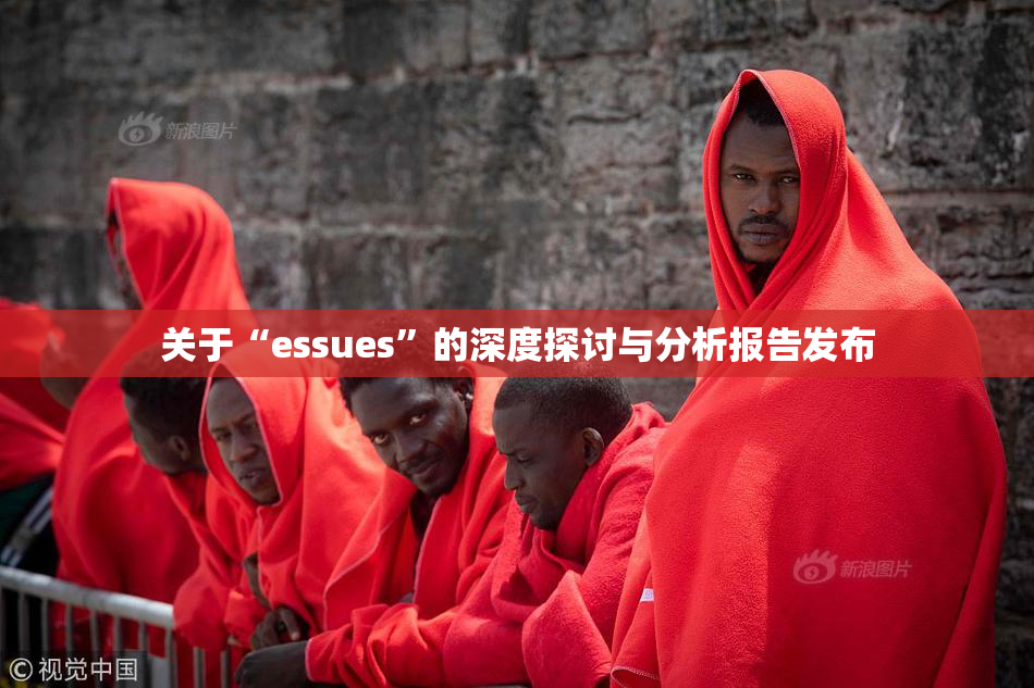 关于“essues”的深度探讨与分析报告发布