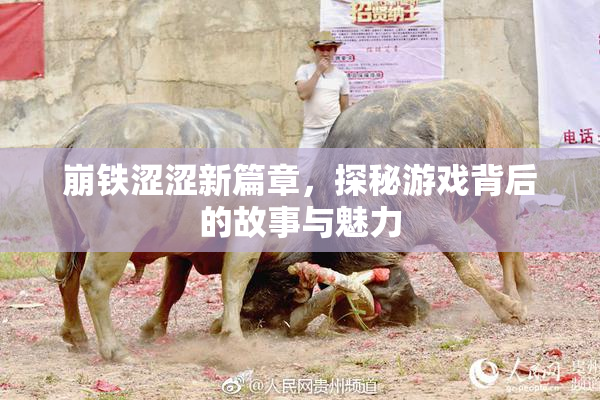 崩铁涩涩新篇章，探秘游戏背后的故事与魅力