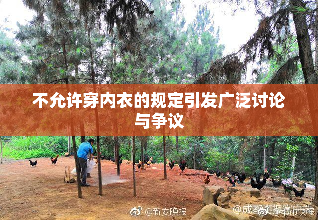 不允许穿内衣的规定引发广泛讨论与争议