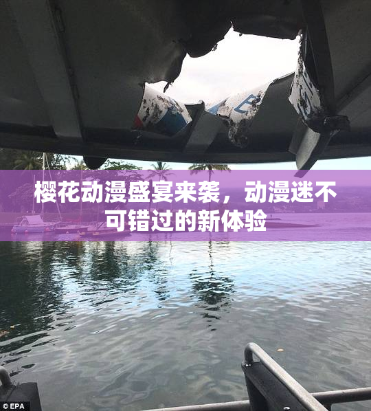 樱花动漫盛宴来袭，动漫迷不可错过的新体验