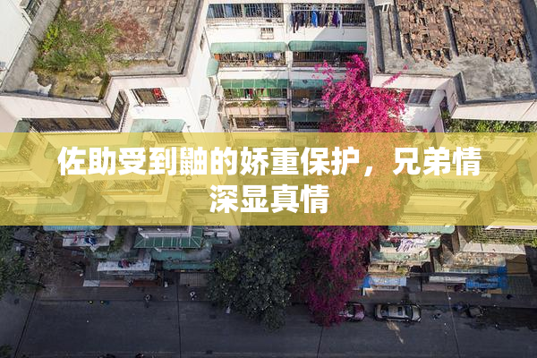 佐助受到鼬的娇重保护，兄弟情深显真情