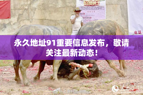 永久地址91重要信息发布，敬请关注最新动态！