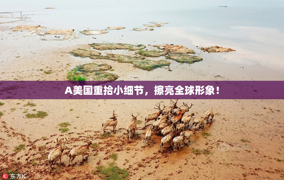 A美国重拾小细节，擦亮全球形象！